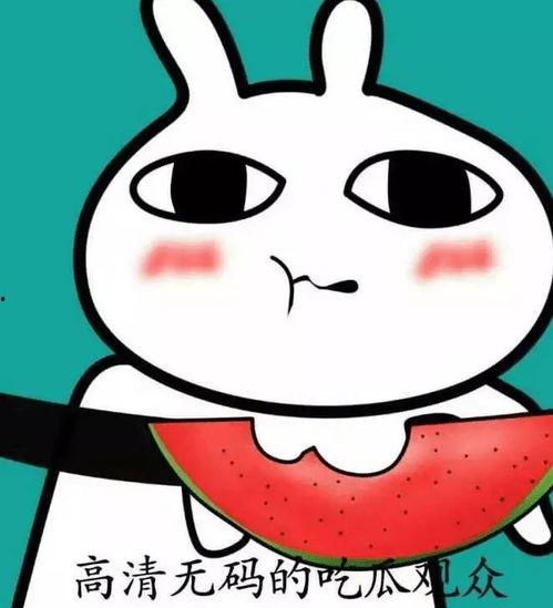 吃瓜做头像,揭秘吃瓜群众的头像魅力