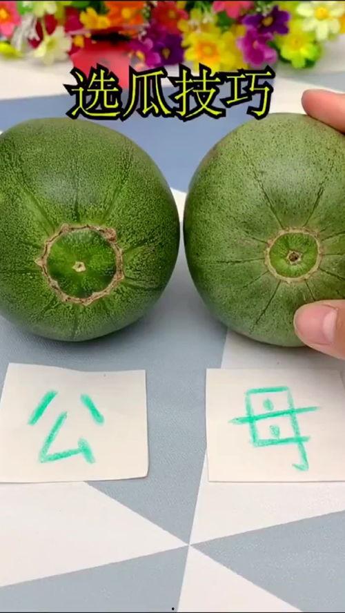 吃瓜也要涨知识,解锁生活小知识