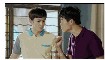 追星吃瓜记小说