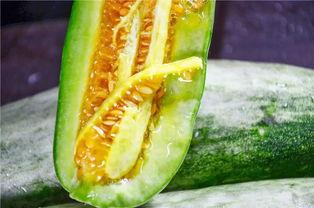 很新奇的吃瓜,那些你意想不到的“新奇吃瓜”事件