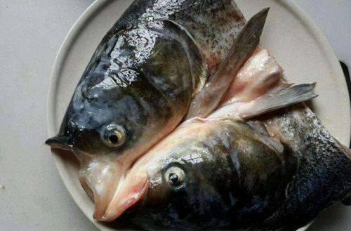 带你吃瓜鱼头,揭秘美食背后的故事